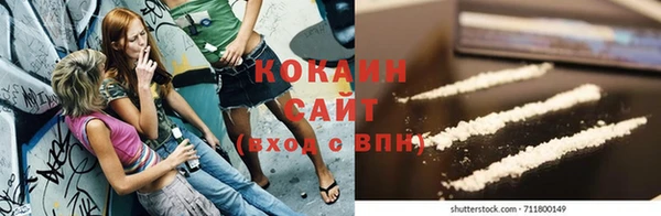 крисы Наволоки