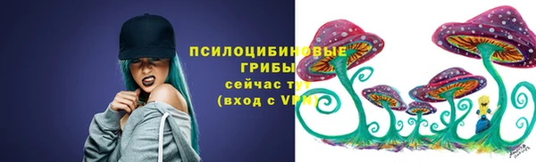 крисы Наволоки