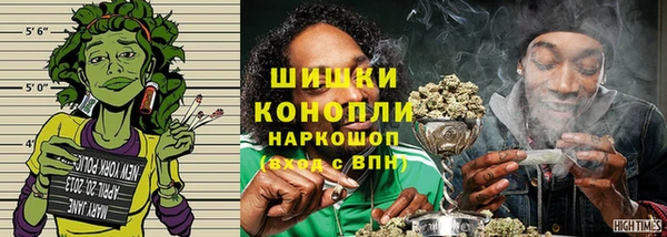 хмурый Аркадак