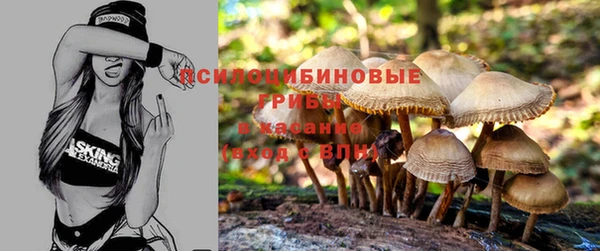 спиды Навашино