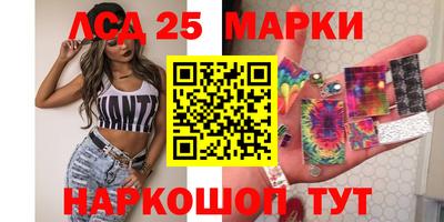 индика Кандалакша