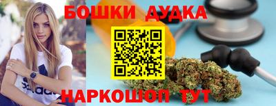 индика Кандалакша