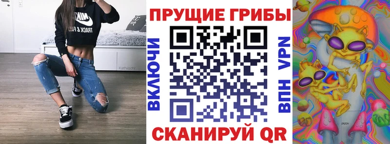 Галлюциногенные грибы Psilocybe Краснокаменск