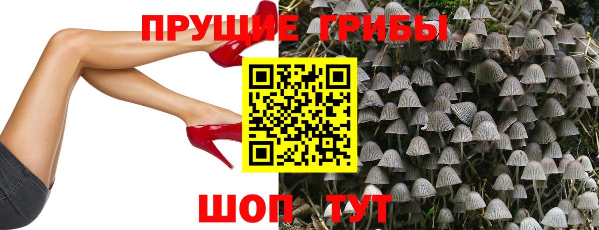 Галлюциногенные грибы ЛСД  Краснокаменск  Псилоцибиновые грибы Cubensis 