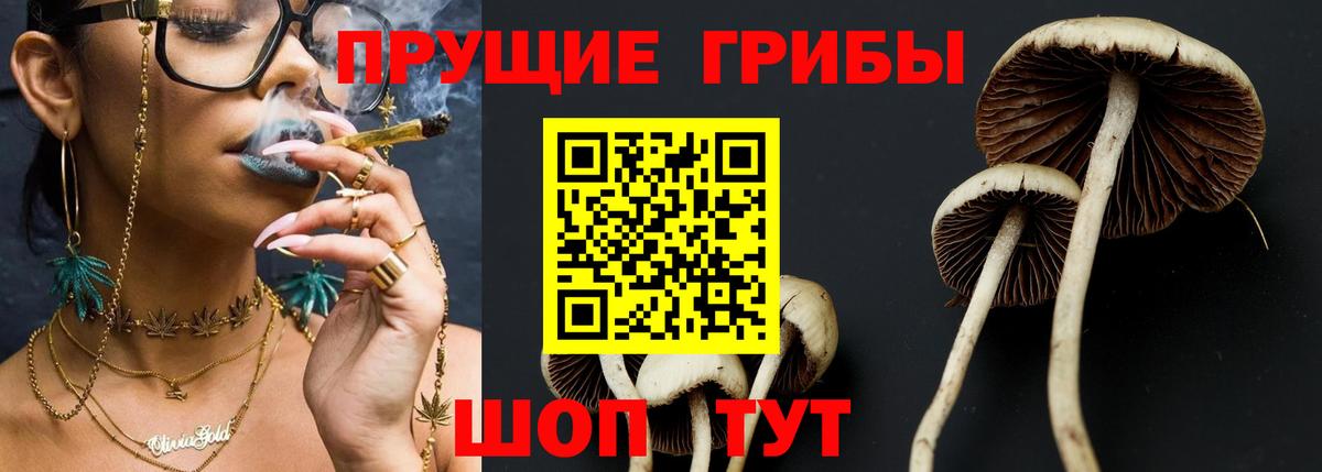 Псилоцибиновые грибы Psilocybe  Вход с VPN  Краснокаменск 
